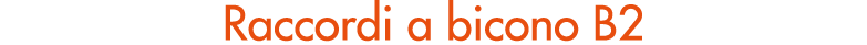Raccordi a bicono B2